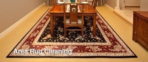 Commercial Rug Cleaning