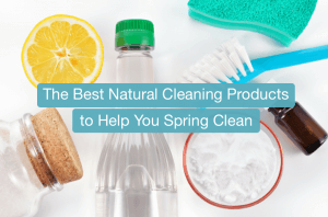 green carpet cleaning va