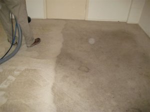 carpet cleaning woodbridge va
