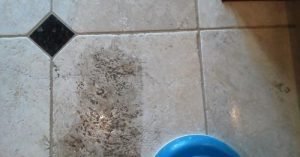 tile cleaning va