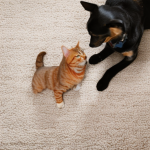 beat pet odor